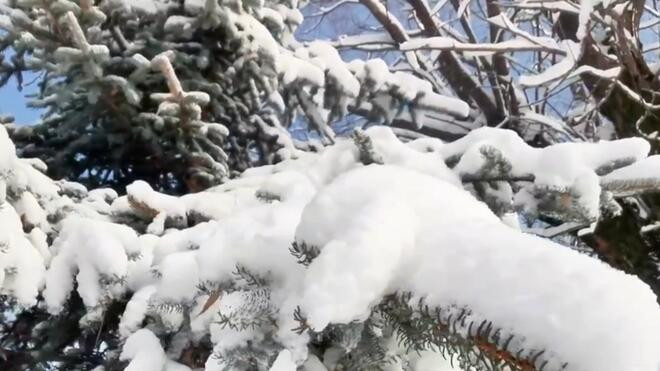 黑龙江启动重大气象灾害（暴雪）三级应急响应