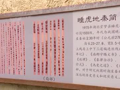 【文化中国行】竹木载春秋 文脉承古今