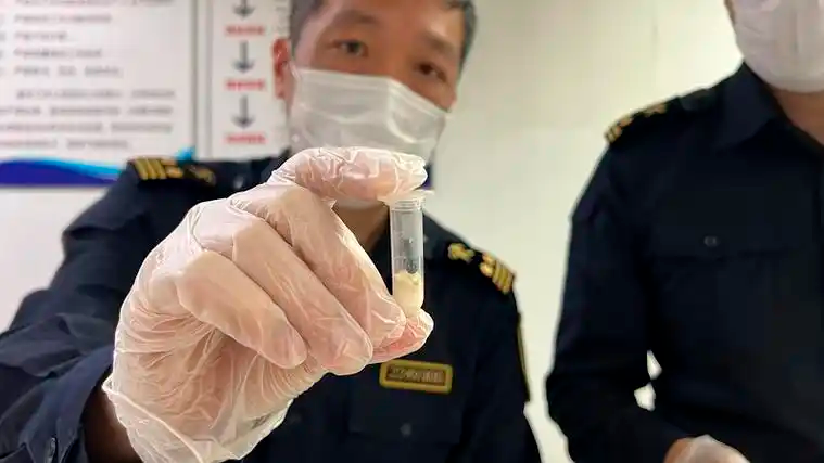 上海海关接连查获大量伪瞒报进出境物品
