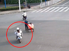 上海闵行 女子遗失30万现金 民警快速找回
