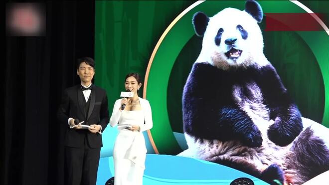 中央赠港大熊猫与公众见面 名字沿用“安安”和“可可”