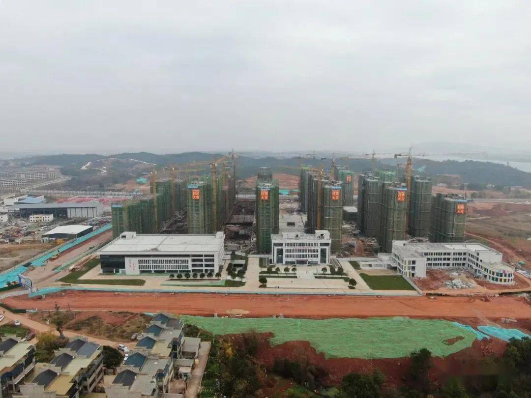 增值税发票数据显示 设备更新稳步推进 以旧换新效果显现