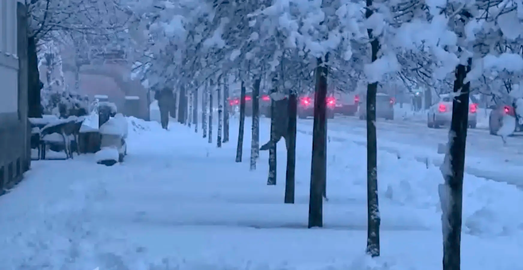 暴雪席卷巴尔干半岛 多国受影响