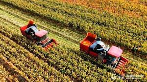 我国确定2025年粮食生产三大重点任务