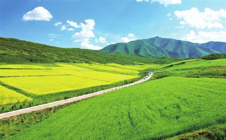 自然资源部 “十四五”以来 我国生态修复取得显著成果