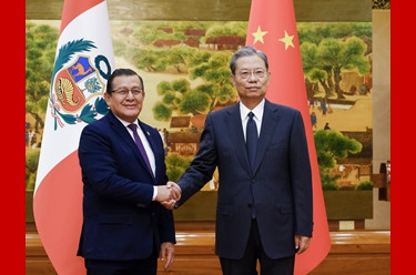 赵乐际同秘鲁国会主席举行会谈