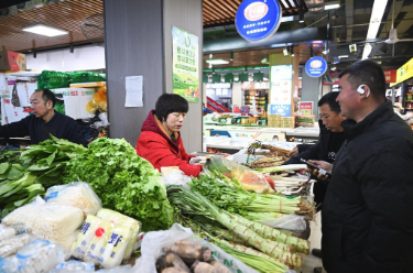 2024年12月份 全国居民消费价格同比上涨0.1%