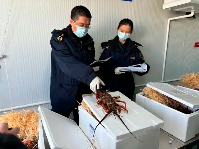 保障节日市场供应 首都机场海关开辟“查验绿色通道”
