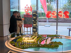 江苏苏州销售金额近4亿元 春节房产促消费成效明显