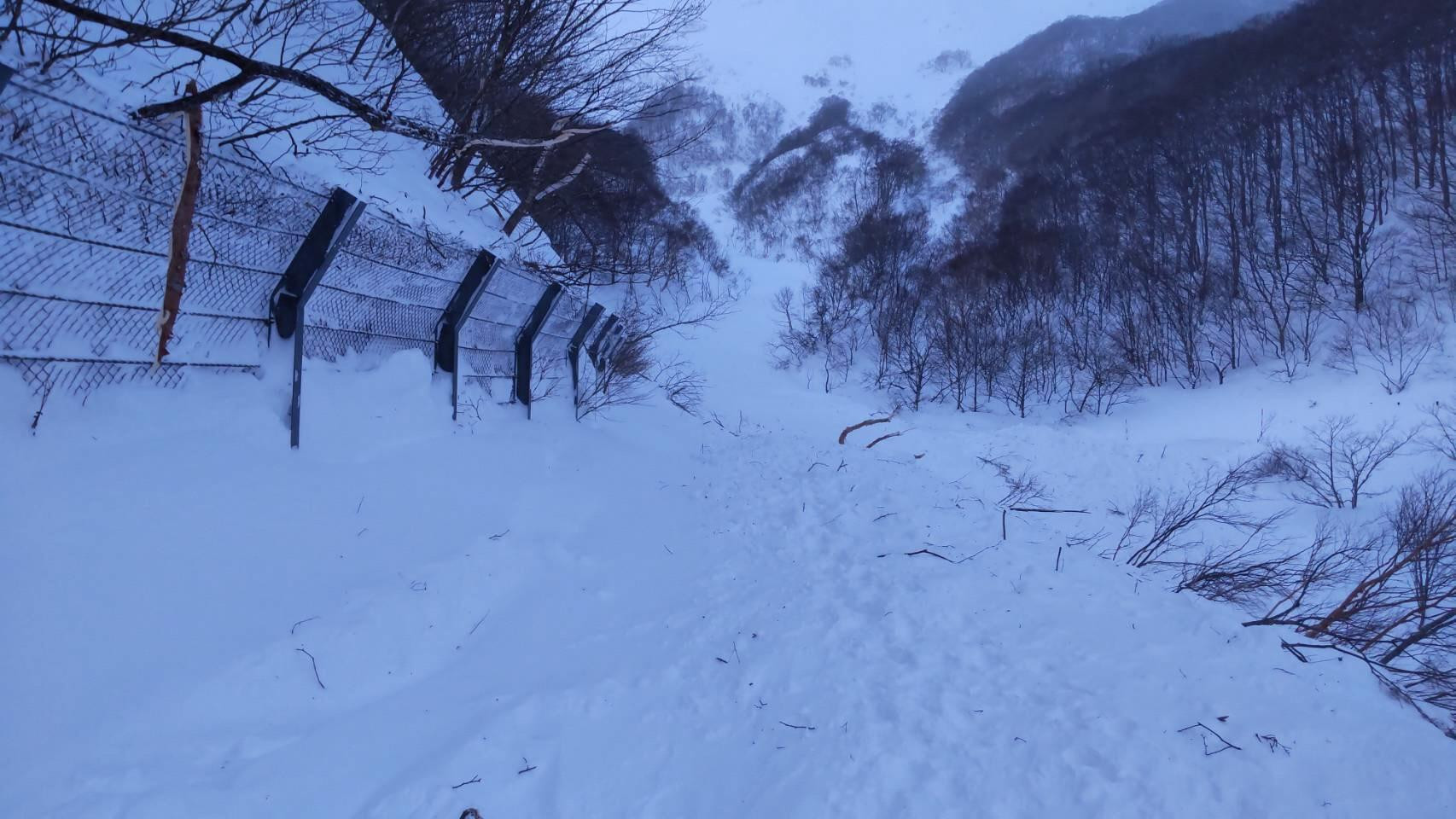日本多地降下暴雪 至少4人死亡 福岛县发生雪崩 逾百人一度被困温泉旅馆