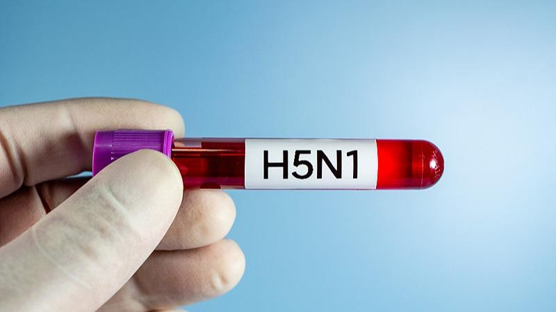 美国内华达州报告人感染H5N1型禽流感病例