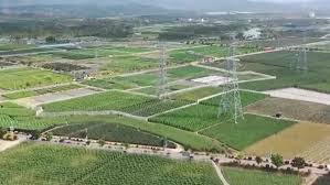 【新思想引领新征程】科技加力赋能 绘就农业现代化新图景