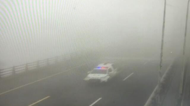 风小湿度大 申城昨天出现强浓雾