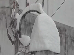 日本新潟县局地积雪厚度3.5米 青森县积雪最高达5米