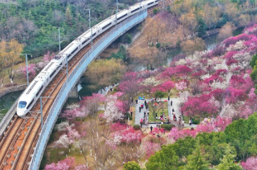 踏青赏花 各地迎来文旅热