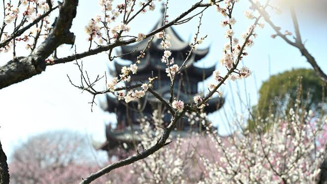 上海市区昨日最高温28.6℃ 150多年来同期最热