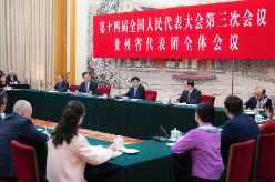 王沪宁参加贵州代表团审议