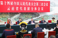 李强参加云南代表团审议