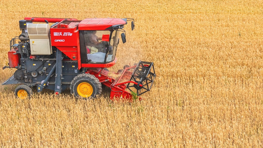国家粮食和物资储备局 全国秋粮累计收购量已超3亿吨