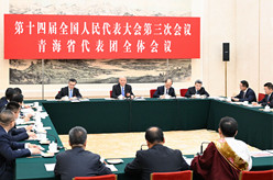 蔡奇参加青海代表团审议