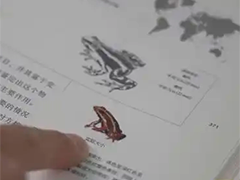 上海实验室分析鉴定 截获活体蛙为箭毒蛙
