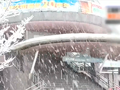日本寒潮过境 东京发布大雪警报