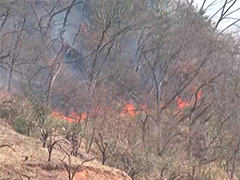 韩国山火伤亡人数上升 多地进入“灾难状态”