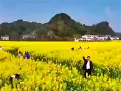 春日旅游红火 新场景激发消费新活力