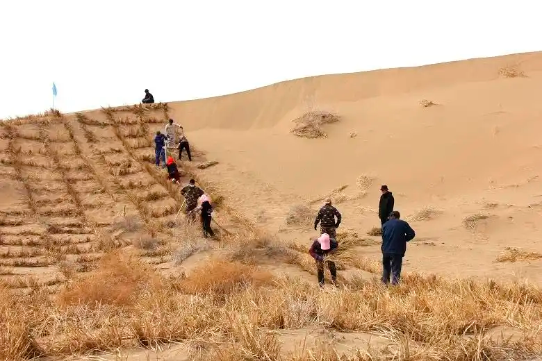 “三北”工程新建续建项目陆续开工