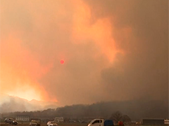 韩国东南部山火已造成19人死亡