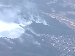 日本爱媛县遭遇36年来最大规模林火 当地学校停课