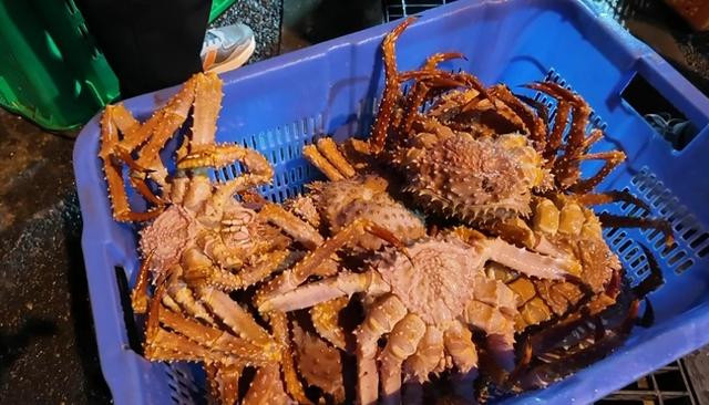 “黄金帝王蟹”活品首次运抵上海