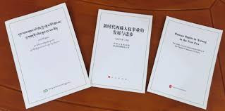 《新时代西藏人权事业的发展与进步》白皮书发布
