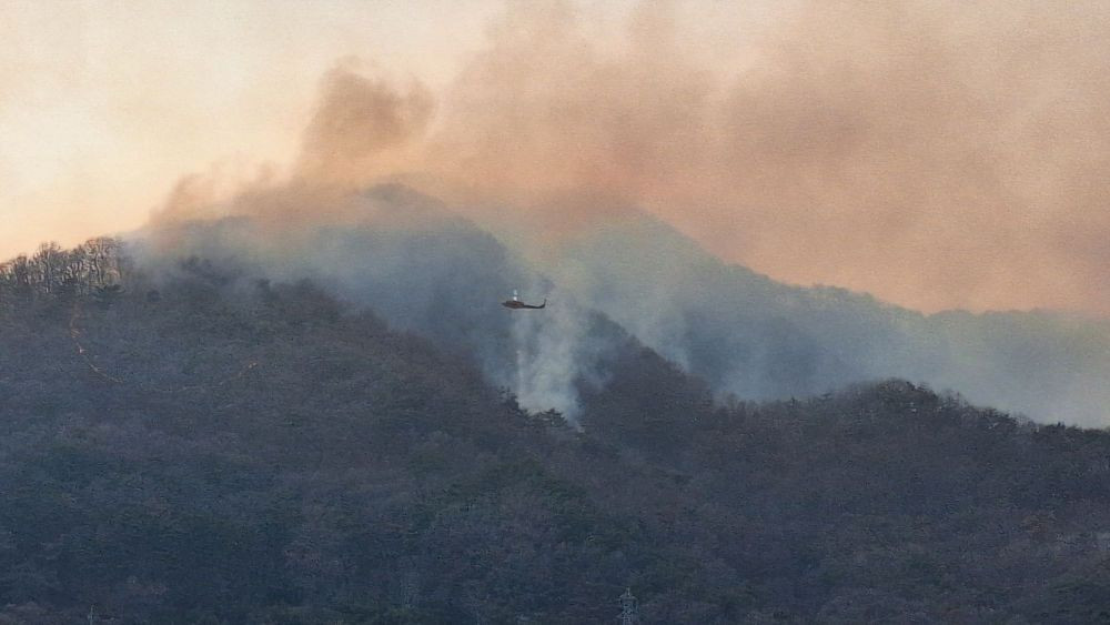 韩国“最严重山火”破坏生态系统 完全恢复或需百年