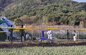 灭火直升机坠毁事件频发 韩国警方启动调查
