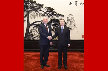 丁薛祥会见俄罗斯能源部部长