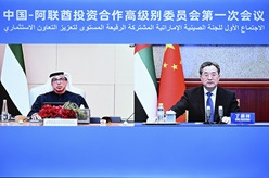 丁薛祥同阿联酋副总统共同主持中阿投资合作高级别委员会第一次会议