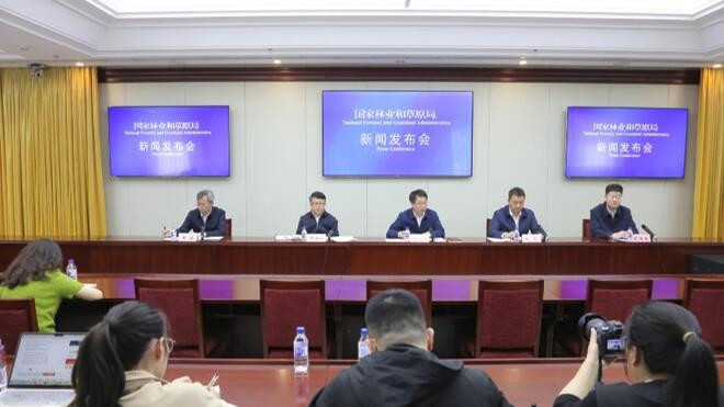 “十四五”以来我国年均修复草原超过4600万亩