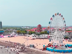 上海假期与海边更配 奉贤海滩景区人气火热
