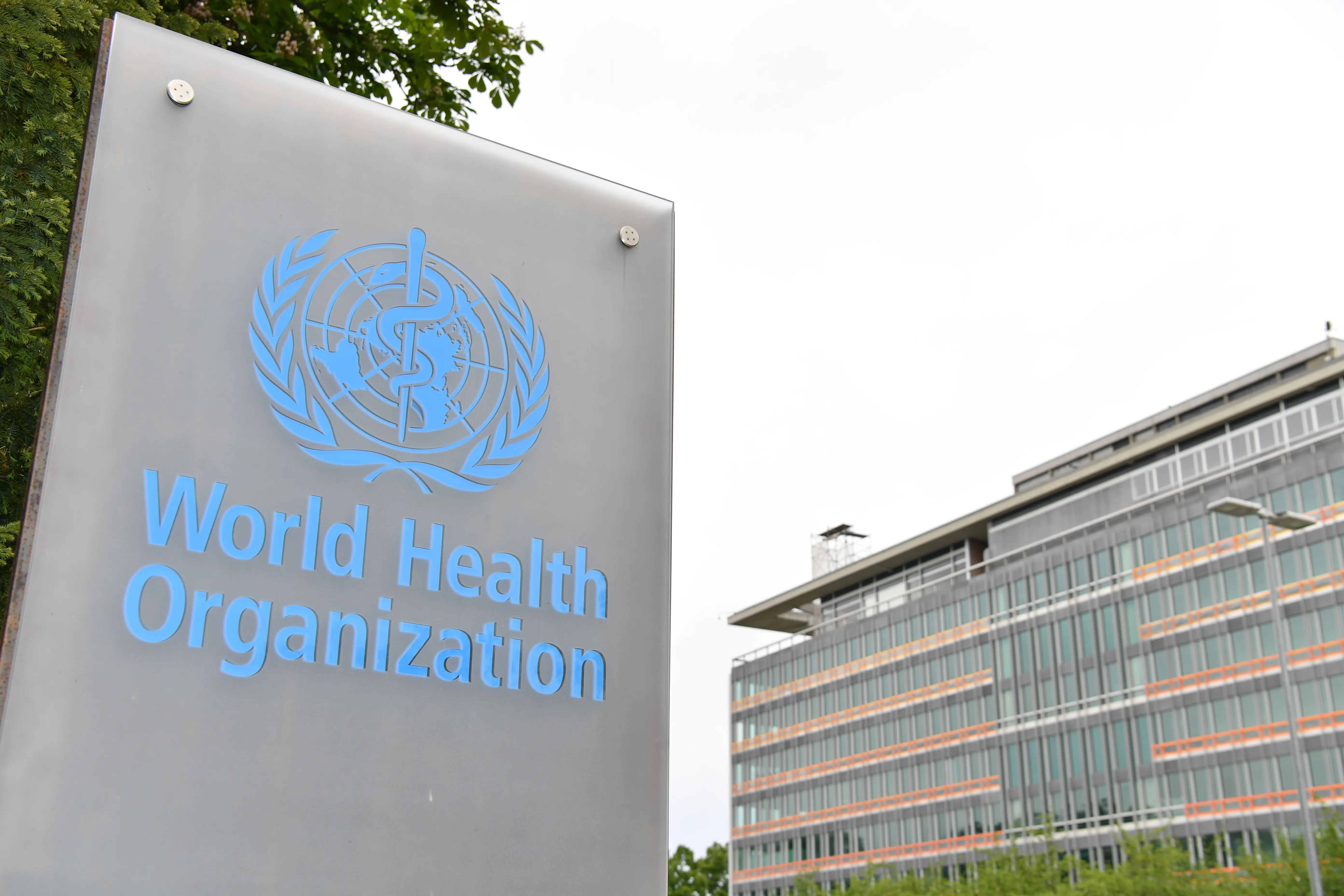世卫组织强调社会因素对健康影响 呼吁推动卫生公平