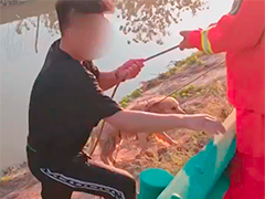 陕西咸阳男子为救爱犬掉入水渠 消防员及时营救