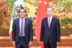 赵乐际同墨西哥众议长举行会谈