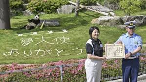 日本和歌山县警方向旅日大熊猫颁发“感谢状”