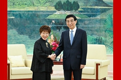 王沪宁会见出席第二届海峡两岸中华文化峰会台湾嘉宾