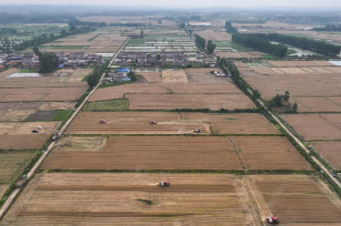 【在希望的田野上·三夏时节】科技赋能 助力各地小麦丰产丰收