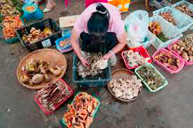 警惕毒蘑菇 云南发布《预防野生菌中毒预警通告》