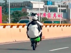 昆明：小伙翘头行驶耍帅 被行政拘留五天