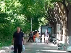 北京 最高温超38℃ 今年首个高温预警发布