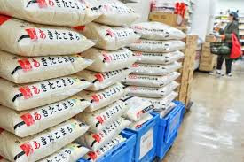 日本政府投放储备米缓解“米荒”