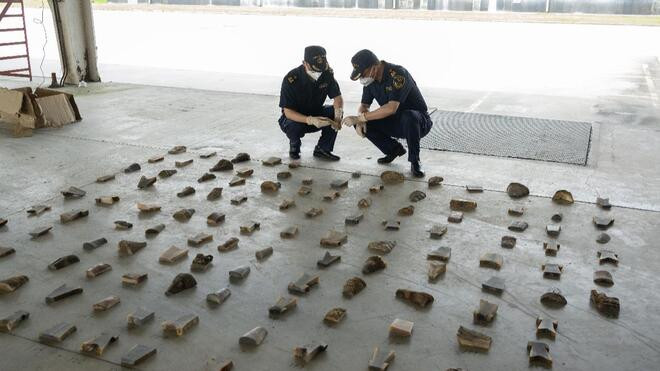 上海海关查获一起特大走私濒危动物制品案